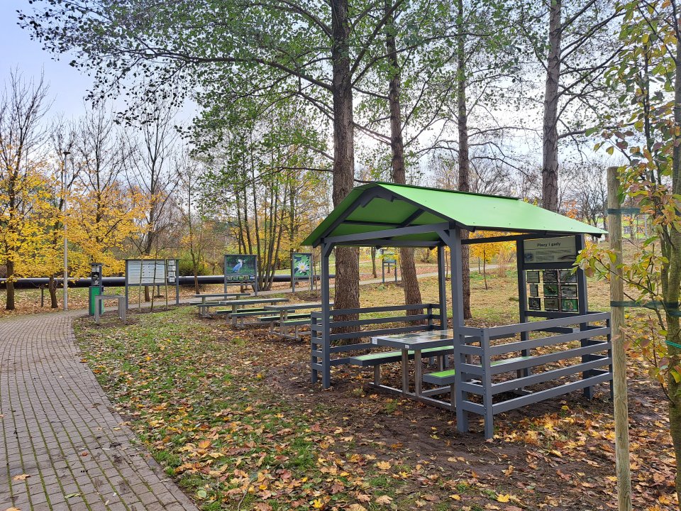 Zdjęcie artykułu z dnia 31-10-2025